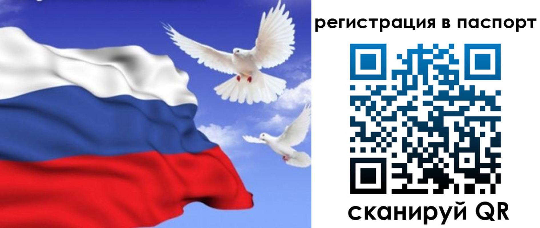 купить прописку в Гае